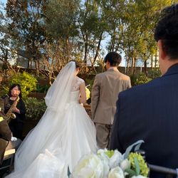 パラッツォ ドゥカーレ 麻布の写真1枚目