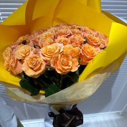 ラグナヴェール プレミア  LAGUNAVEIL PREMIERの写真22枚目