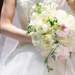 アルモニーソルーナ 表参道の写真20枚目