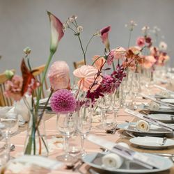 ラシック アンジュールの写真27枚目