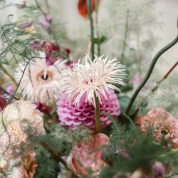 ラシック アンジュールの写真31枚目