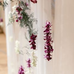 ラシック アンジュールの写真34枚目