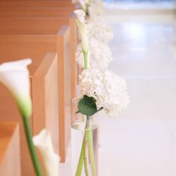 辻家庭園 の写真3枚目