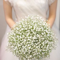 ラグナヴェール東京の写真4枚目