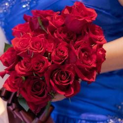 ルーキスの写真11枚目