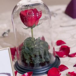 ルーキスの写真9枚目