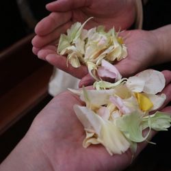 ウェディングスホテル・ベルクラシック東京の写真10枚目