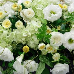 フォレストテラス明治神宮の写真29枚目