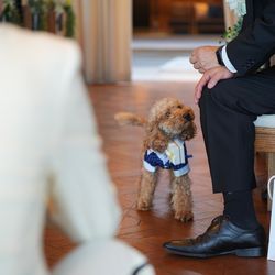 BAYSIDE GEIHINKAN VERANDA minatomiraiの写真19枚目