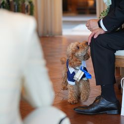 BAYSIDE GEIHINKAN VERANDA minatomiraiの写真8枚目