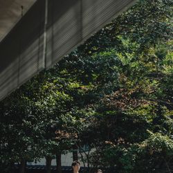 料亭河文の写真10枚目