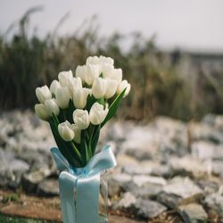 TOASTの写真1枚目