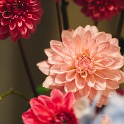 TOASTの写真24枚目