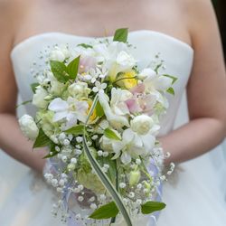 パラッツォ ドゥカーレ 麻布の写真8枚目