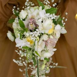 パラッツォ ドゥカーレ 麻布の写真27枚目