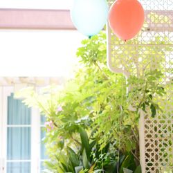 ブルーレマン名古屋の写真35枚目