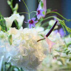 パレスホテル東京の写真22枚目