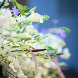 パレスホテル東京の写真23枚目