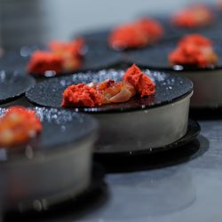 エネコ東京の写真13枚目