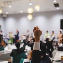 エネコ東京の写真11枚目