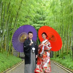 プリマディーバの写真15枚目