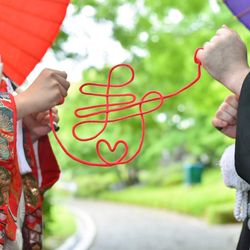 プリマディーバの写真28枚目