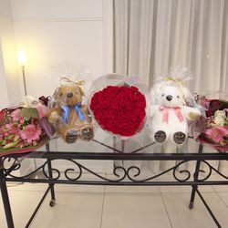 プリマディーバの写真11枚目