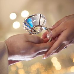 プリマディーバの写真6枚目