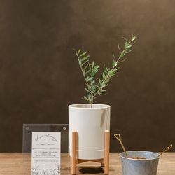 ラシック アンジュールの写真31枚目