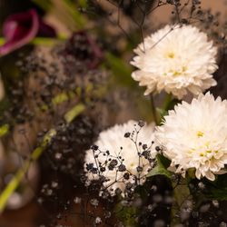 THE JAPONAIS LISERJUの写真3枚目