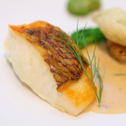 SOLA KOBEの写真7枚目