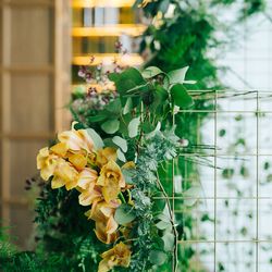 日枝神社結婚式場の写真1枚目