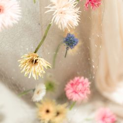 SOLA KOBEの写真5枚目