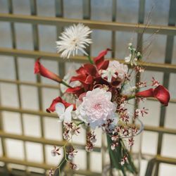 ルーキスの写真16枚目