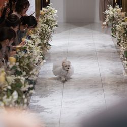 ベイサイド迎賓館 神戸の写真35枚目