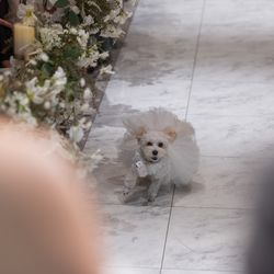 ベイサイド迎賓館 神戸の写真15枚目