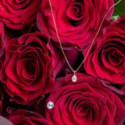 ザ・マグナス東京の写真31枚目