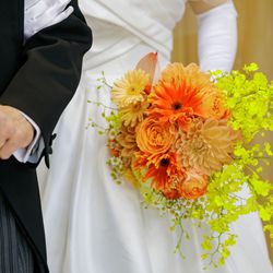 エレガンテヴィータの写真4枚目