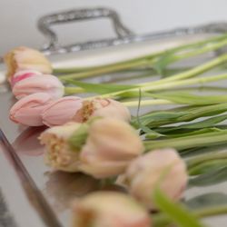 TOASTの写真34枚目