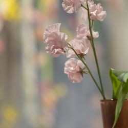 TOASTの写真28枚目