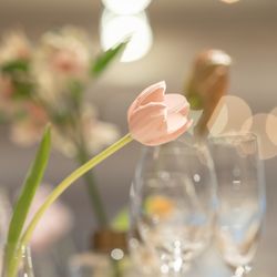 TOASTの写真23枚目