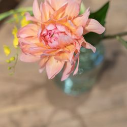 TOASTの写真10枚目