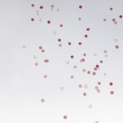 TOASTの写真26枚目