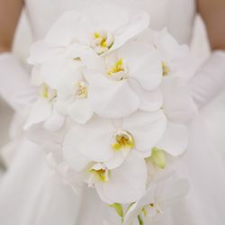 アルマリアン東京の写真29枚目