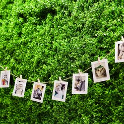 アルマリアン東京の写真27枚目