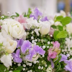 アルマリアン東京の写真15枚目