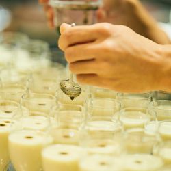 エネコ東京の写真11枚目