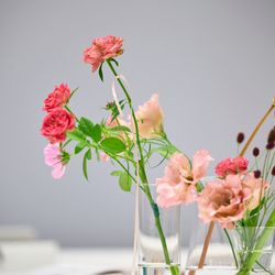 エネコ東京の写真5枚目