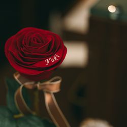 ベルヴィ郡山館の写真3枚目