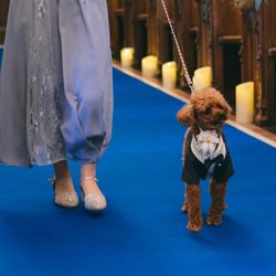 ベルヴィ郡山館の写真6枚目